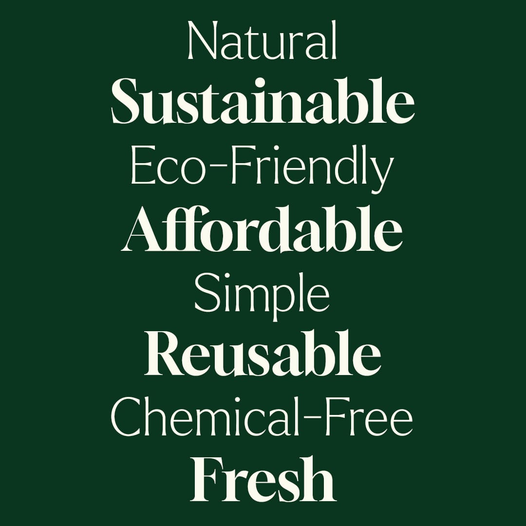 Plant Therapy Wool Dryer Balls 6-Pack | 100% New Zealand Wool | Natural Fabric Softener | Eco-Friendly Reusable Laundry Essential
